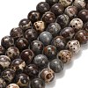Natural Astroite Jasper Beads Strands G-H329-C02-8mm-2