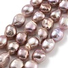 Natural Cultured Freshwater Pearl Beads Strands PEAR-P062-26C-2