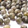 100Pcs 8mm Natural Fossil Coral Round Beads DIY-LS0002-34-4