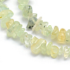 Natural Prehnite Beads Strands X-G-P332-41-2