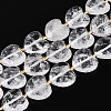 Natural Quartz Crystal Beads Strands G-P592-B19-01-2