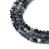 Natural Sapphire Beads Strands G-K366-C04-2mm-4