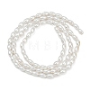 Electroplated Shell Pearl Beads Strands BSHE-Z009-10B-3