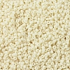 MIYUKI Round Rocailles Beads SEED-X0054-RR0492-3