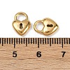 304 Stainless Steel Charms STAS-R170-01G-07-3
