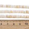 Natural Freshwater Shell Beads Strands SH-CBA2978-05A-4