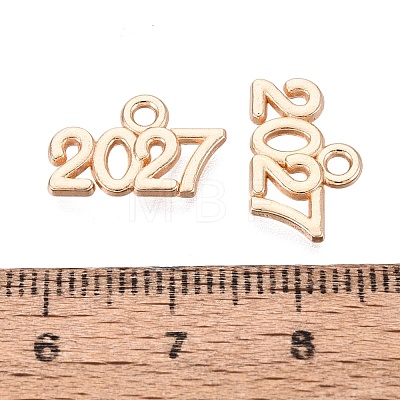 New Year's Day Alloy Charms FIND-N014-01KCG-1