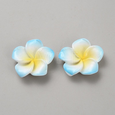Two Tone Resin Cabochons RESI-WH20010-01E-1
