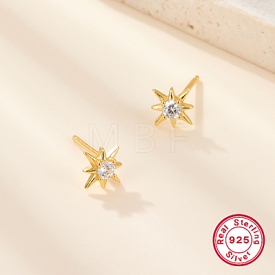 Sterling Silver Stud Earrings for Women PD9987-1-1