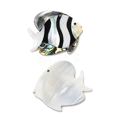 Natural Freshwater Shell & Black Lip Shell & Paua Shell Pendants SHEL-F007-14-1