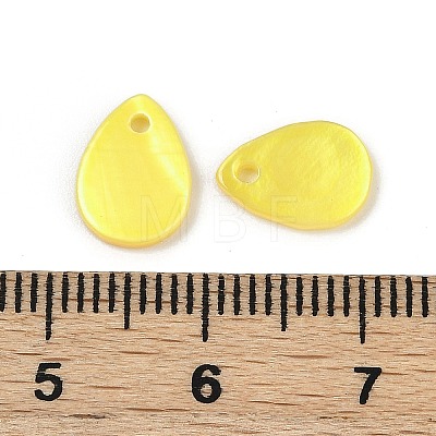 Spray Painted Natural Freshwater Shell Teardrop Charms SHEL-K006-47C-1