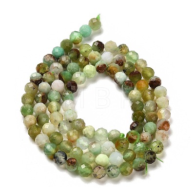 Natural Serpentine Beads Strands G-B107-A05-06-1