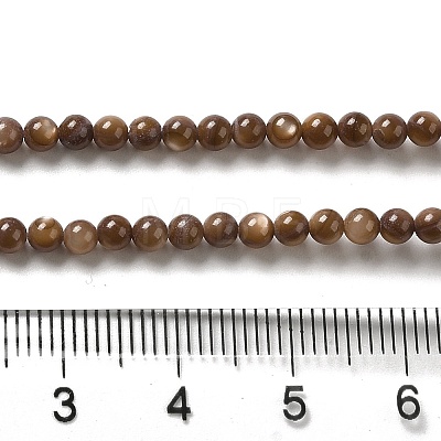 Natural Freshwater Shell Beads Strands SHEL-H003-03D-1