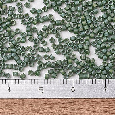 MIYUKI Delica Beads X-SEED-J020-DB2312-1