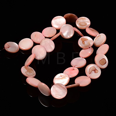 Natural Shell Beads Strands X-PBB251Y-6-1