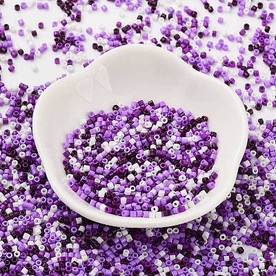 Baking Paint Glass Seed Beads X-SEED-S042-05B-53-1