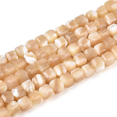 Natural Trochid Shell/Trochus Shell Beads Strands BSHE-T014-52B-01-1