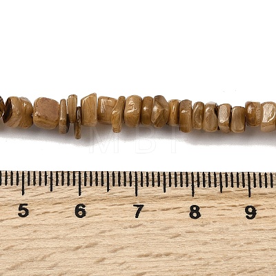 Natural Freshwater Shell Beads SHEL-B003-01D-1