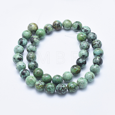 Natural African Turquoise(Jasper) Beads Strands G-E444-47-10mm-1