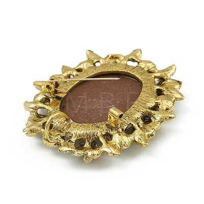 Alloy Rhinestone Brooch for Clothes Backpack JEWB-Q030-52AG-1
