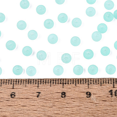 FGB Frosted Transparent Glass Seed Beads SEED-N013-02A-10-1