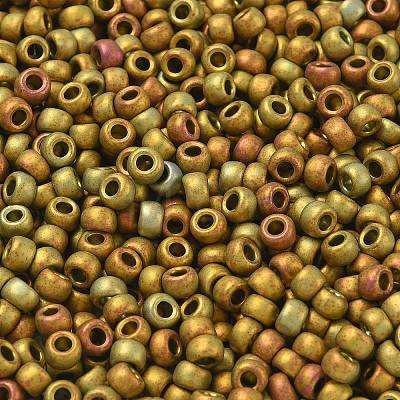 TOHO 6/0 Round Beads X-SEED-TR06-0513F-1