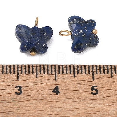 Dyed Natural Lapis Lazuli Pendants KK-D289-61G-06-1