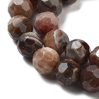 Natural Petrified Wood Beads Strands G-C150-B01-01-1