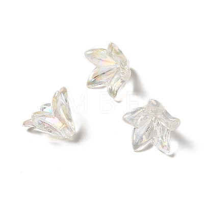 Transparent Acrylic Bead Caps LS-X-OACR-H016-05A-1