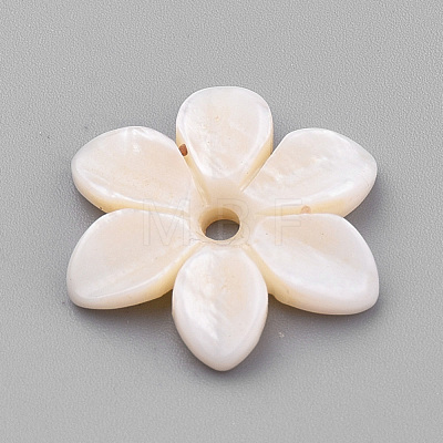 Natural Freshwater Shell Beads SHEL-S269-32-1