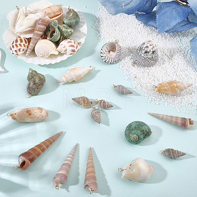 45Pcs Copper Wire Wrapped Natural Spiral Shell Pendants PALLOY-WR00033-1