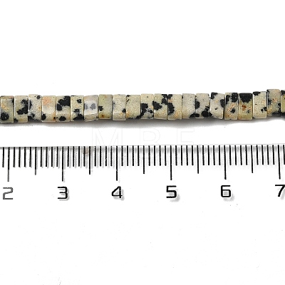 Natural Dalmatian Jasper Beads Strands G-Z045-A07-01-1