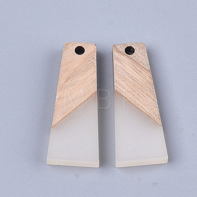 Resin & Wood Pendants X-RESI-S358-59A-1