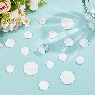 40Pcs 4 Styles Natural Freshwater Shell Cabochons SHEL-WR0001-11-1