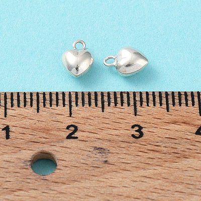 925 Sterling Silver Charms STER-H106-01C-S-1