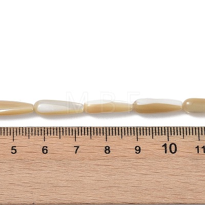 Natural Trochus Shell Beads PEAR-B002-01B-B-1