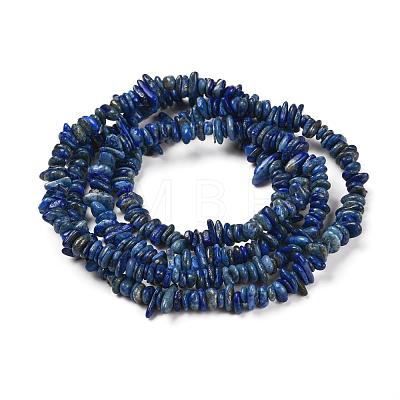 Natural Lapis Lazuli Stone Bead Strands X-G-R192-13-1
