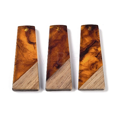 Resin & Wood Pendants WOOD-F015-04B-1