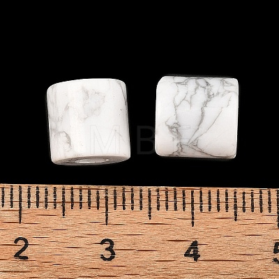 Natural Howlite Beads G-I395-B04-1