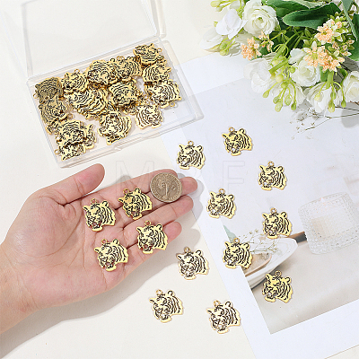 Tibetan Style Alloy Pendanrs FIND-WH0199-392AG-1