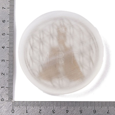 Flat Round Natural Selenite Slice Coasters DJEW-C015-02K-1