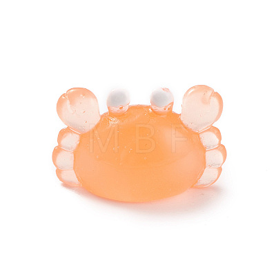Luminous Resin Sea Animals Display Decoration DJEW-R007-01D-1