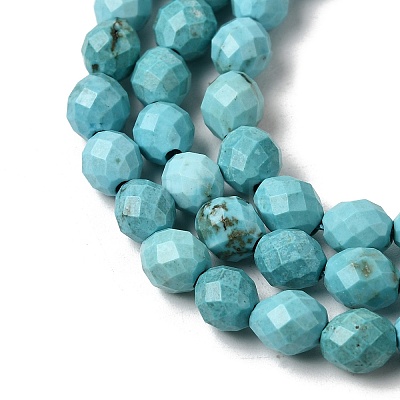 Dyed Natural Howlite Beads Strands G-K376-F06-01-1