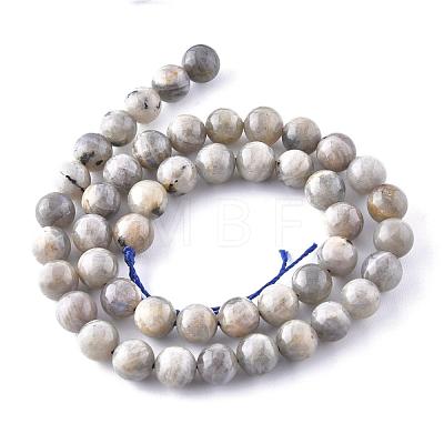 Natural Labradorite Beads Strands X-G-G212-8mm-23-1