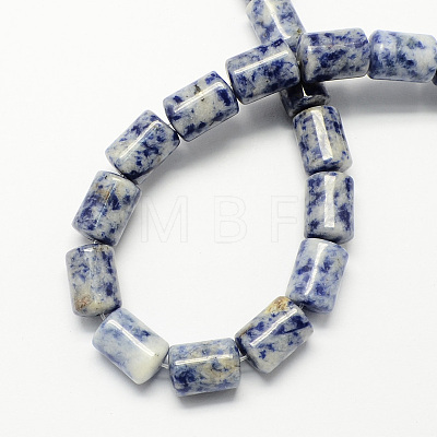 Natural Gemstone Blue Spot Jasper Column Beads Strands G-S115-11-1