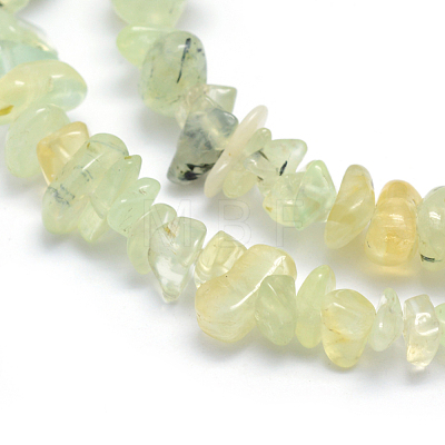 Natural Prehnite Beads Strands X-G-P332-41-1