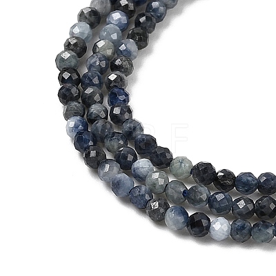 Natural Sapphire Beads Strands G-K366-C04-2mm-1