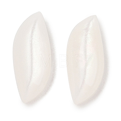 Opaque Resin Decoden Cabochons CRES-I036-14C-1