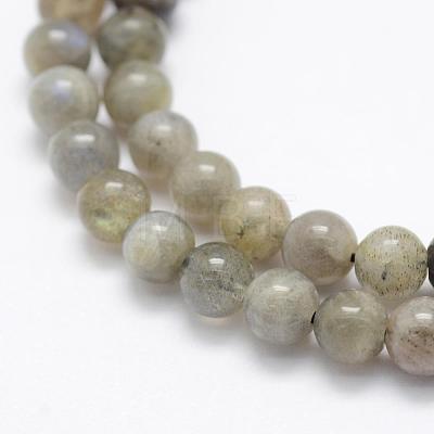 Natural Labradorite Beads Strands G-P322-33-8mm-1