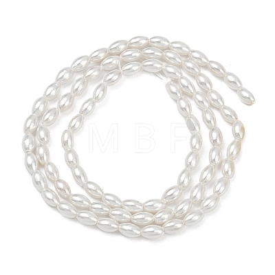 Electroplated Shell Pearl Beads Strands BSHE-Z009-10B-1